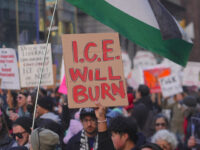 Socialists Planning to Replicate Minneapolis Chaos to Combat ICE Sweeps in New York City