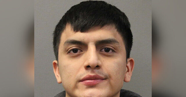 Ecuadorian Migrant Charged in Sexual Assault of 12-Year-Old Chicago Girl