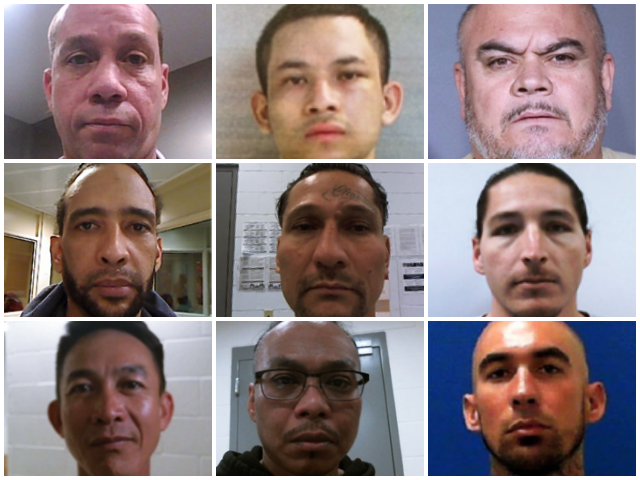 Immigration and Customs Enforcement