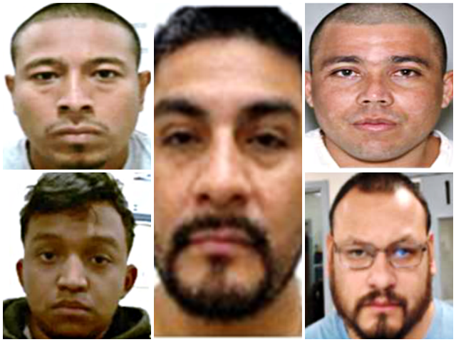 Immigration and Customs Enforcement