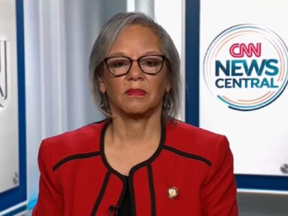 Robin Kelly on ICE on 1/9/2026 "CNN News Central"