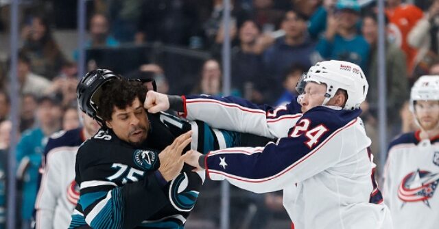 VIDEO: Ryan Reaves Knocked Out in Epic Brawl with Mathieu Olivier