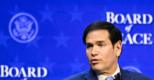 Marco Rubio: Board of Peace Is Also ‘a Board of Action’