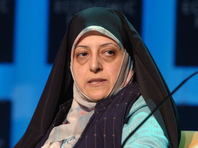 Masoumeh Ebtekar, vice-president of the Islamic Republic of Iran participates in a discuss