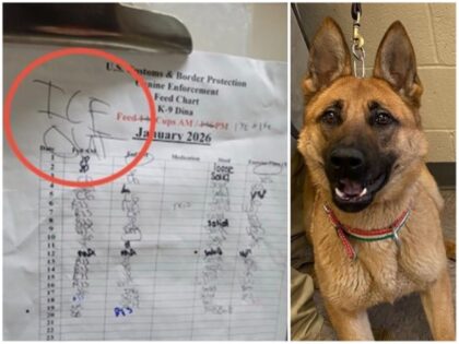 Anti‑ICE Activists Sink to New Low —Border Patrol K‑9 Hit with Political Threat at Minneapolis Kennel Anti‑ICE Activists Sink to New Low —Border Patrol K‑9 Hit with Political Threat at M