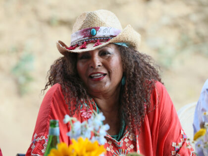 LOS ANGELES, CALIFORNIA - JULY 28: Pam Grier of 'Bless This Mess' attends a TCA