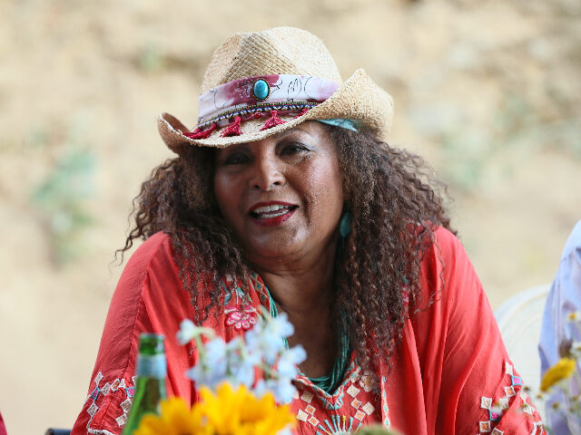 ‘The View’ Fact Checked After Actress Pam Grier Recalls Growing Up in Ohio Around Lynch