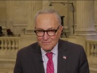 Schumer: ICE Agents ‘Don’t Belong in Our Cities’, Need an Investigation of Minnea