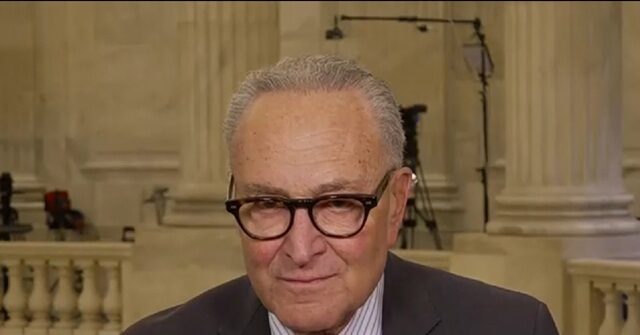 Schumer: ICE Agents 'Don't Belong in Our Cities', Need an Investigation of Minneapolis Shooting