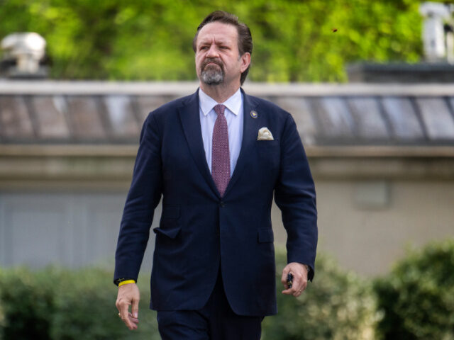 Exclusive — ‘This Is Tectonic’: Gorka Touts Designating Muslim Brotherhood Chapte