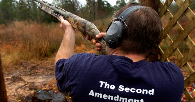 Georgia Bill Allows Citizens to Sue Local Governments over Gun Control