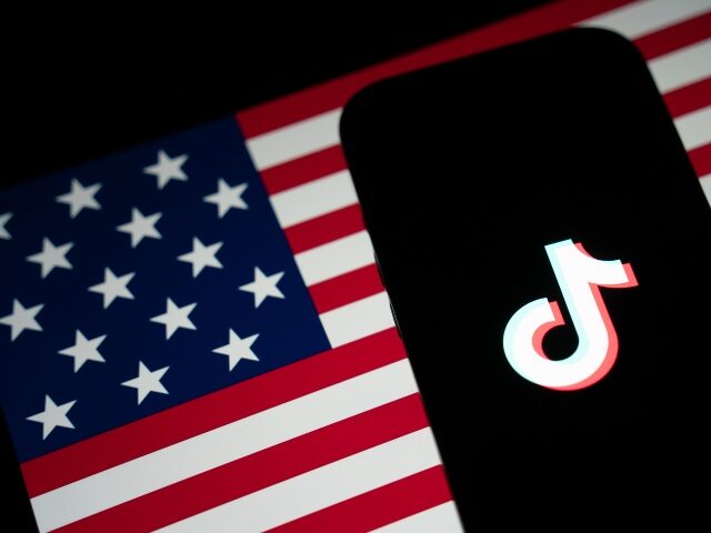 TikTok in America