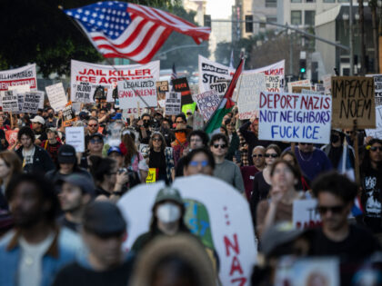 People wave flags and hold signs during a protest in Los Angeles, California on January 10