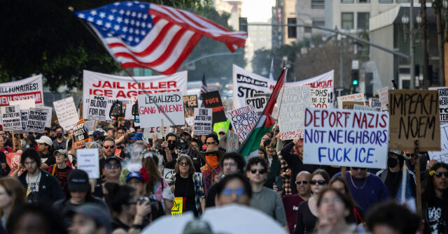 
                            Report: ICE Protester in Group of ‘Violent Rioters’ Blinded in Left Eye