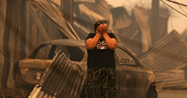Watch: Chile Wildfires Leave at Least 19 People Dead, More Than 1,500 Affected