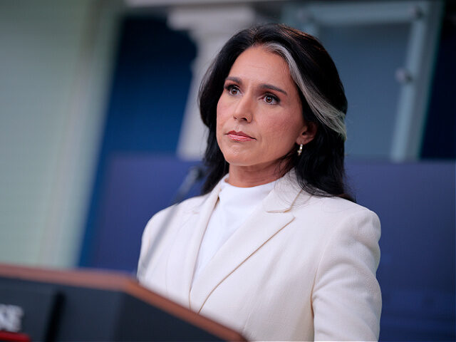 fileJul2025-Director-National-Intelligence-Tulsi-Gabbard-getty WASHINGTON, DC - JULY 23: White House Director of National Intelligence Tulsi Gabbard talk