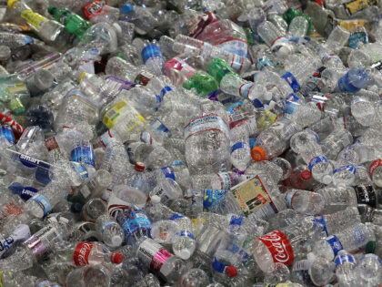 Hundreds of recycled plastic water bottles are piled up inside the Recology recycling faci