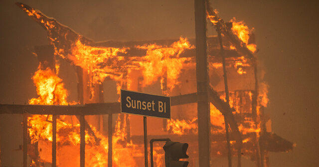 House Judiciary Committee Alleges L.A. FireAid Relief Went to Pet Causes