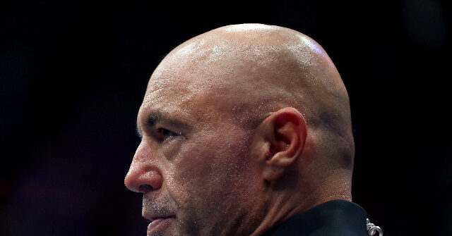 Joe Rogan Suggests Trump Is Creating Chaos to Distract From Epstein Files