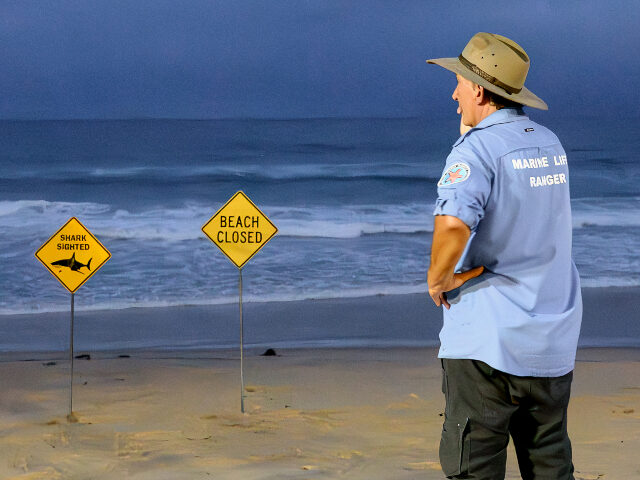 VIDEO: Australia — Officials Close Beaches After Fourth Shark Attack in Three Days