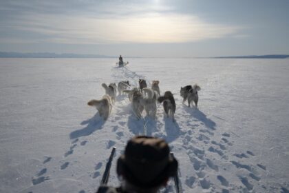 Dogsled teams are low-tech and durable, members of the Sirius patrol argue, making them th