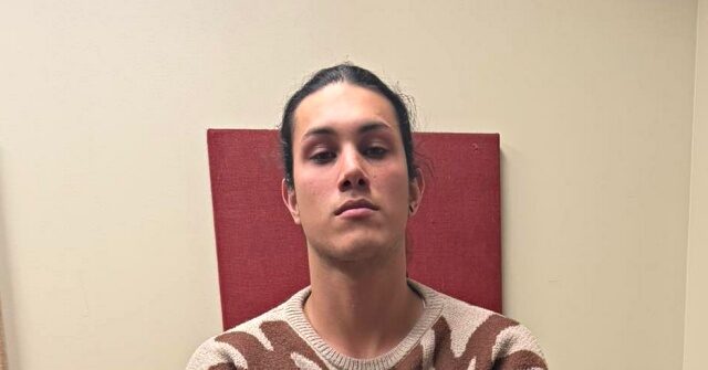 “Foreign Criminal Caught Trying to Drown Innocent Woman on Florida Shore”