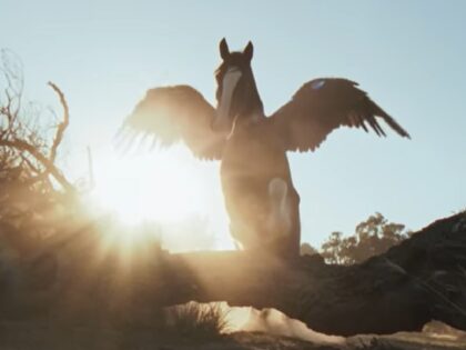 Former Anheuser-Busch Executive: Budweiser Super Bowl Ad a ‘Step in the Right Direction’