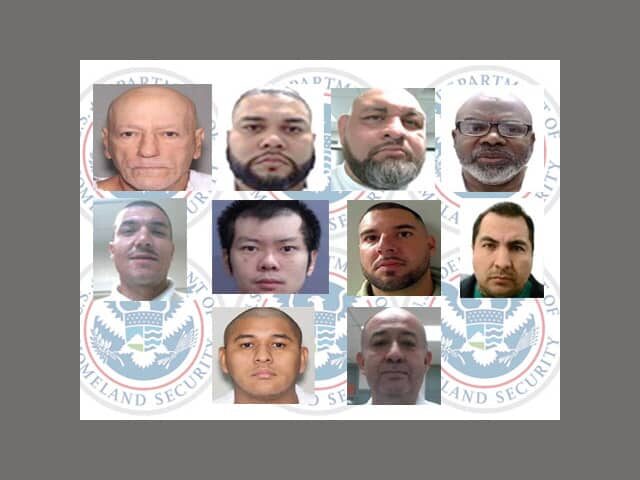 DHS Criminal Arrests