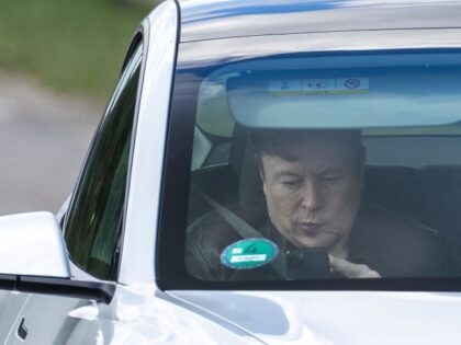 Elon Musk risks a ride in a Tesla robotaxi