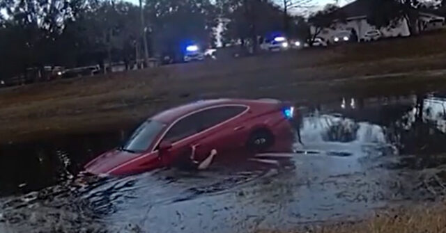 Video: Florida Police Rescue Elderly Driver Who Crashed into Pond