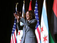Kamala Harris Polling Average Leads in 2028 Democrat Primary Presidential Polls