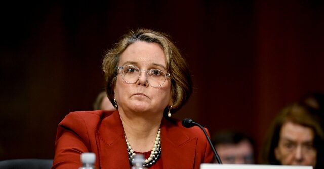 Democrats Lament Ouster of DOJ Antitrust Official Gail Slater