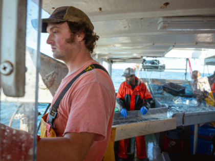 PORTLAND, MAINE, UNITED STATES - 2022/09/28: A fisherman is looking out to sea with his fe
