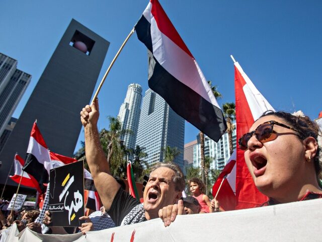 A protestor waves the flag of Yemen as people demonstrate to mark one year of the war betw