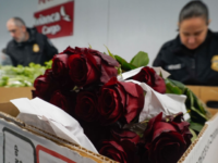 Report: Colombia Causes Security Scare with Valentine’s Day Flowers Delivered to U.S. Congres