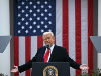 U.S. Trade Deficit Nearly Cut in Half Since Liberation Day