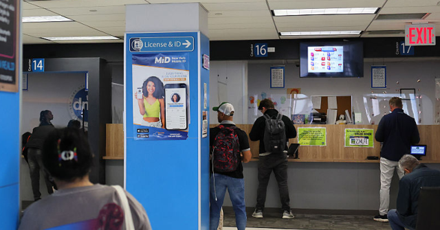 Florida to Administer Driver License Tests 'Exclusively in English' to Ensure Safety