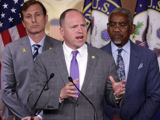 Dem Rep. Kennedy on DHS Shutdown Not Impacting ICE: We Have to ‘Drive’ ‘Message&#