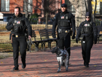 U.S. Secret Service Returns Elderly Woman’s Stolen $950,000 in Life Savings