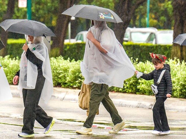 GettyImages-2253589141 Visitors to Disneyland are prepared for rain as they cross Harbor Boulevard outside the am