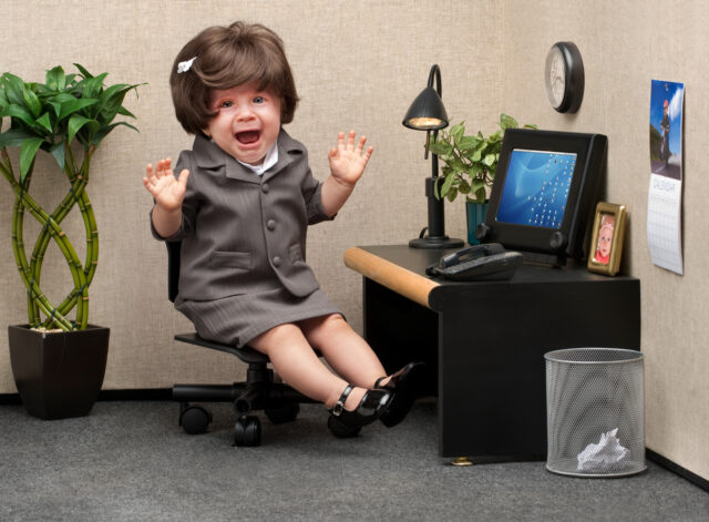 Baby sitting in a business cubicle wearing a business dress with an expression of panic on