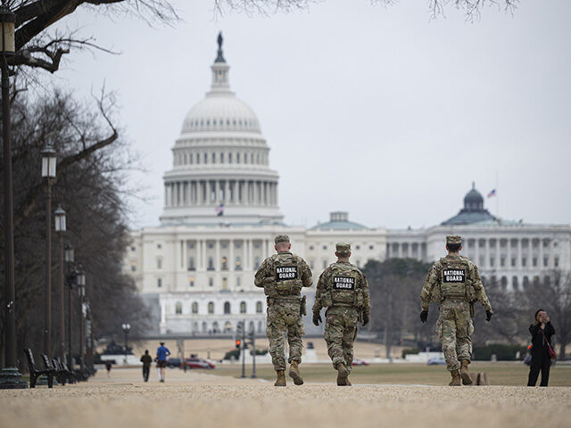 An extremely rare albino squirrel with completely white fur is seen at the National Mall a