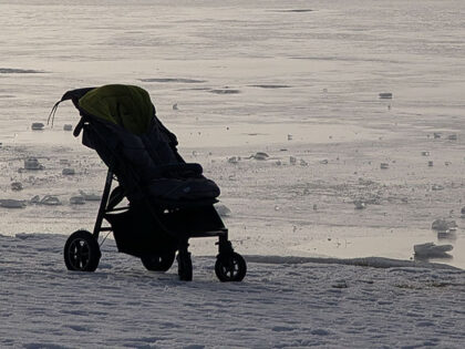 Bystander Saves Baby After Wind Blows Stroller into Lake Michigan