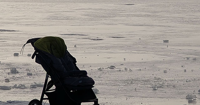 Bystander Saves Baby After Wind Blows Stroller into Lake Michigan