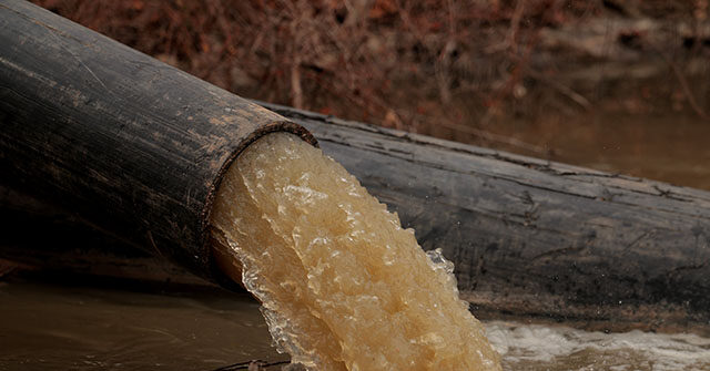 Trump Directs Federal Officials to Get Involved in Potomac River Sewage Crisis: ‘Massive Ecological Disaster’