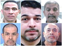 ICE Agents Arrest Child Predators, Rapists as Democrats Refuse to Stand for Americans Over Illegals