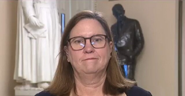 Dem Rep. Julie Johnson: We Should Legislatively Deal With People Doxxing ICE Agents Who Are Like Gestapo