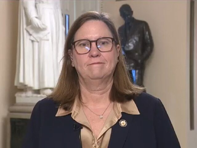 Dem Rep. Julie Johnson on Funding DHS: Need ‘Whole-Scale Revamping’ of DHS’s Miss