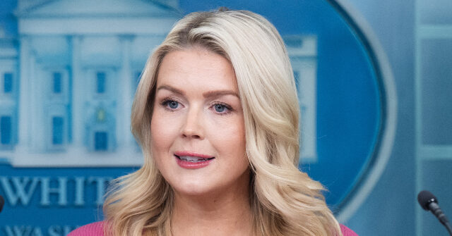 Exclusive–Karoline Leavitt: ‘Tom Homan Is the Perfect Guy to Be in Charge of Minneapolis’