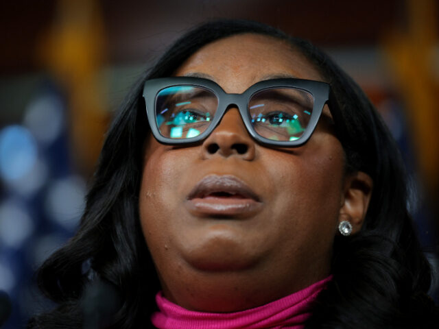 U.S. Rep. LaMonica McIver (D-NJ) speaks on Elon Musk's government interference at a p